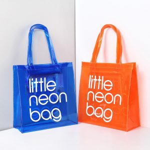Translucent Plastic Handbag